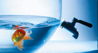 21年最完整的龍頭式濾水器選購懶人包 淨水器知識庫